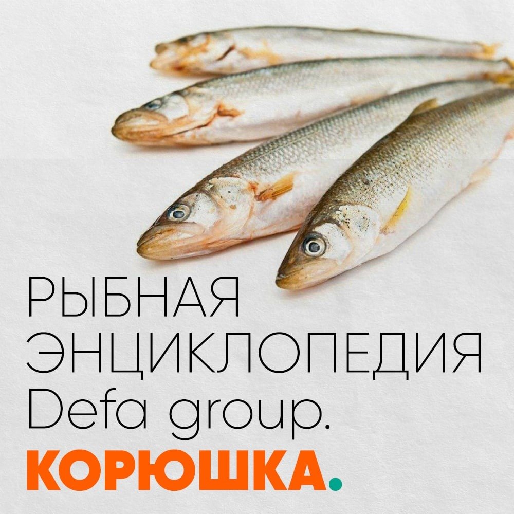 Рыбная энциклопедия: Корюшка Defa group