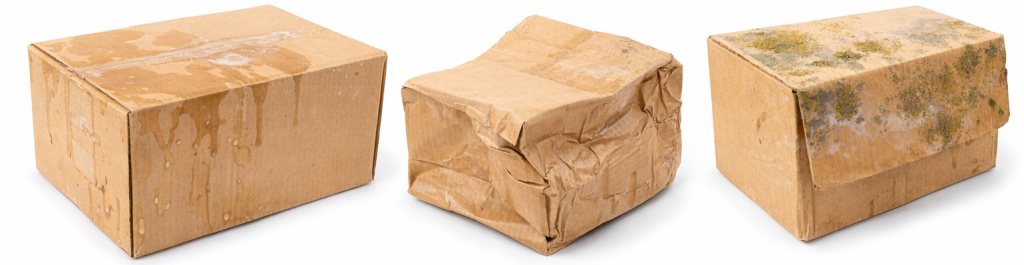 приемка замороженной 1.png