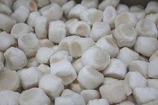 Гребешок российский