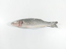 Сибас с/м ТУРЦИЯ